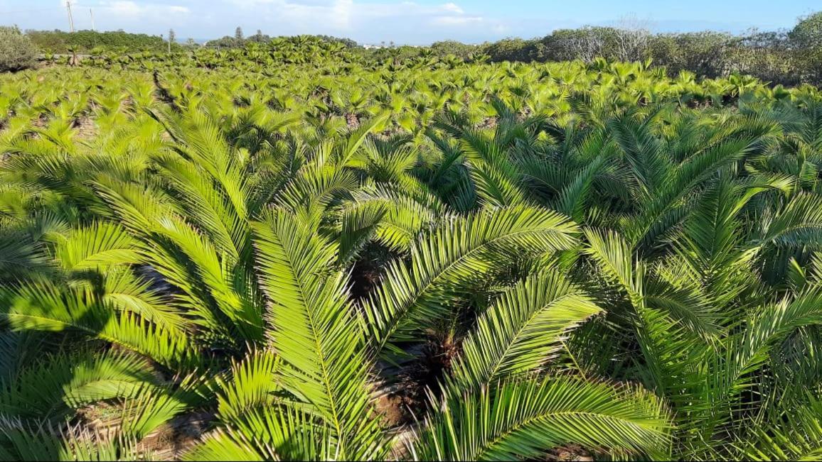 Palmeraie Skhirat 2 Extérieur photo